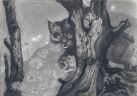 Дикий лесной котенок в аномальной зоне